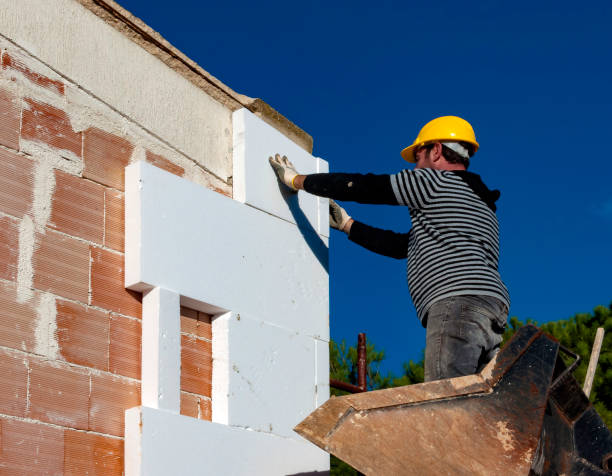 Best Insulation for New Construction  in Holly Springs, NC
