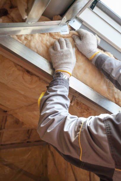 Best Wall Insulation Contractor  in Holly Springs, NC