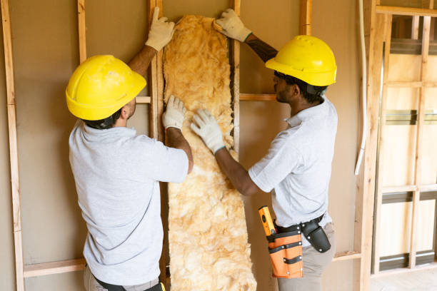 Best Local Insulation Services  in Holly Springs, NC