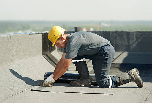 Best Insulation Inspection Services  in Holly Springs, NC