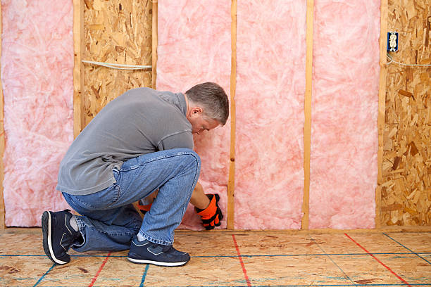 Best Wall Insulation Contractor  in Holly Springs, NC