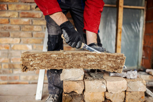 Best Insulation Contractors for Homes  in Holly Springs, NC