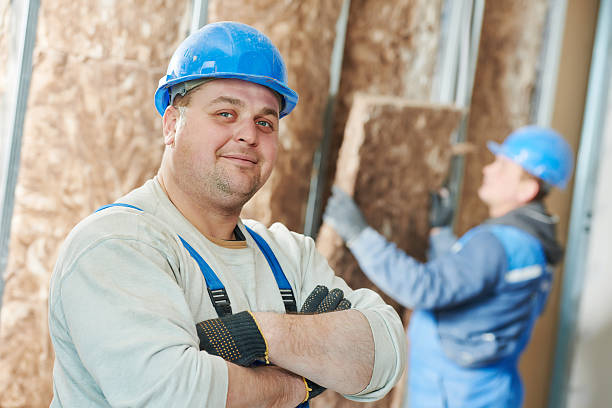 Best Insulation Contractor Near Me  in Holly Springs, NC