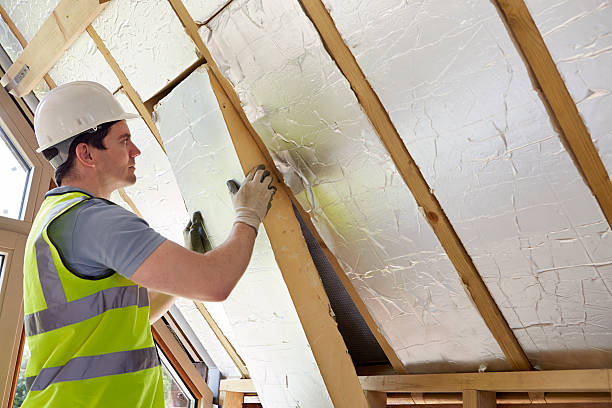 Best Commercial Insulation Contractor  in Holly Springs, NC