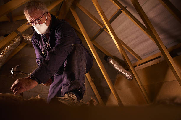 Best Insulation Contractors for Homes  in Holly Springs, NC