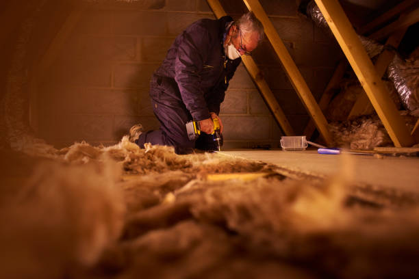 Best Garage Insulation Installation  in Holly Springs, NC