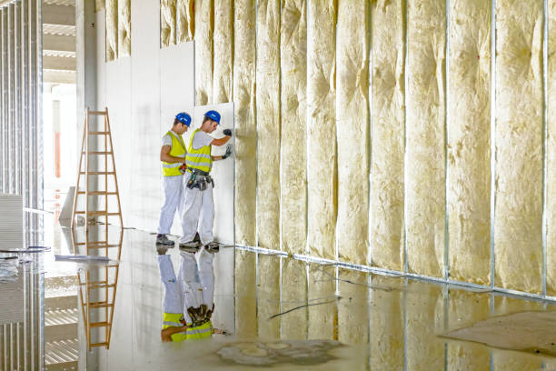Best Attic Insulation Installation  in Holly Springs, NC